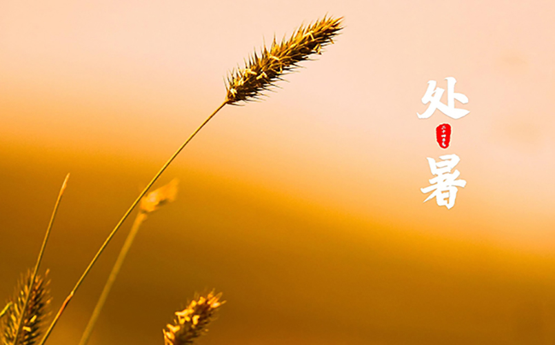 凯锐斯全屋定制