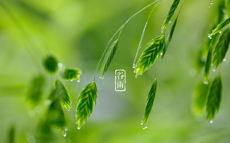 凯锐斯全屋定制